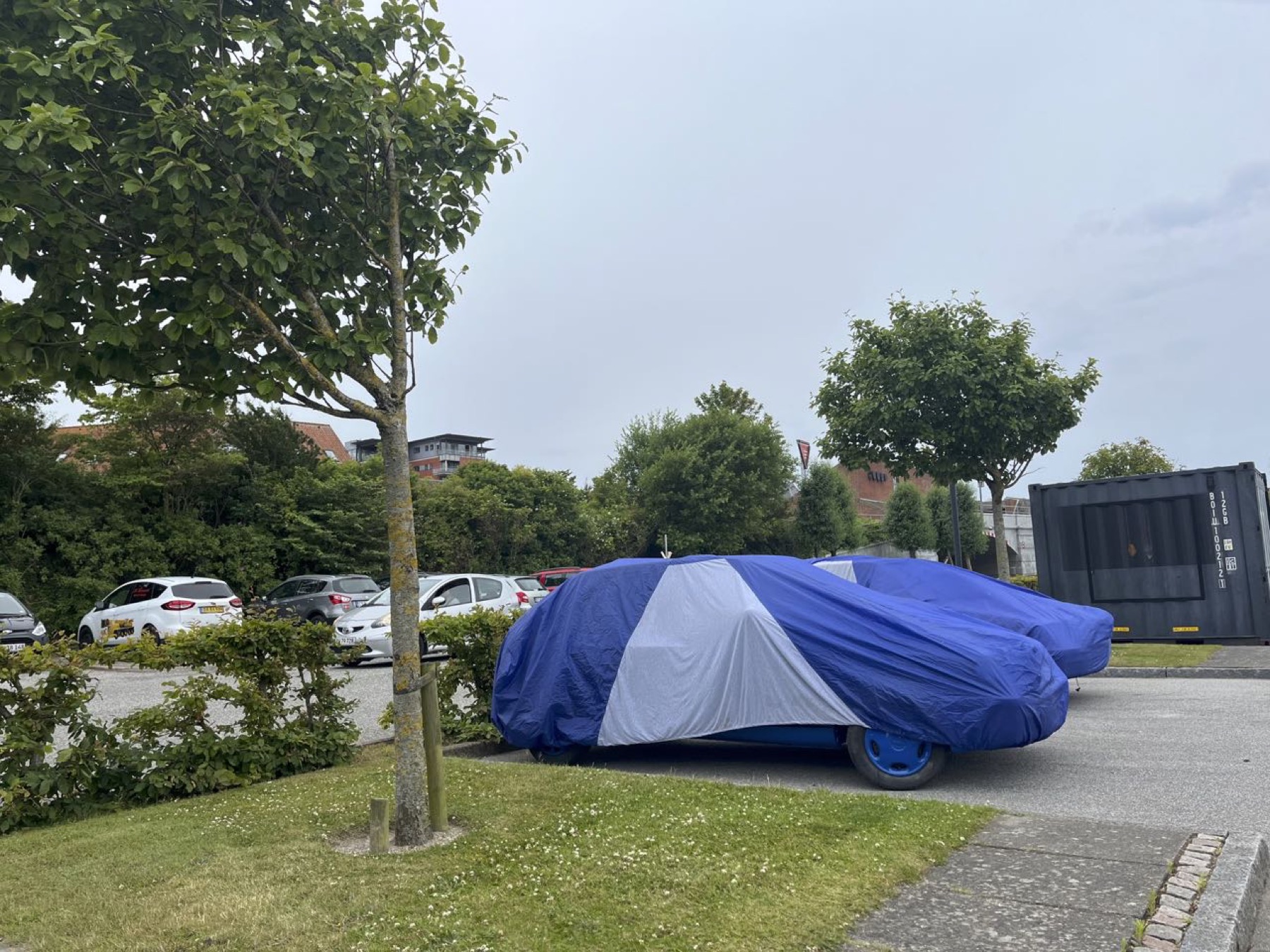 Bilerne: klar til næste dags udstilling